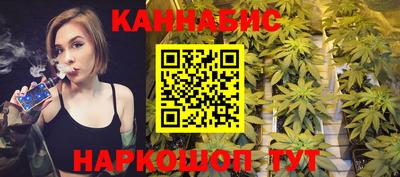 jwh Бийск