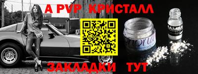 jwh Бийск