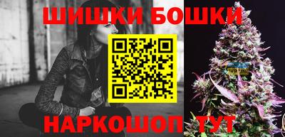 jwh Бийск