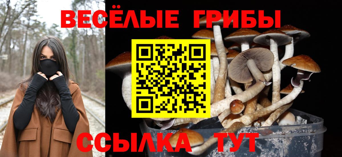 где купить   Вход с VPN  Горячий Ключ  Галлюциногенные грибы мицелий 